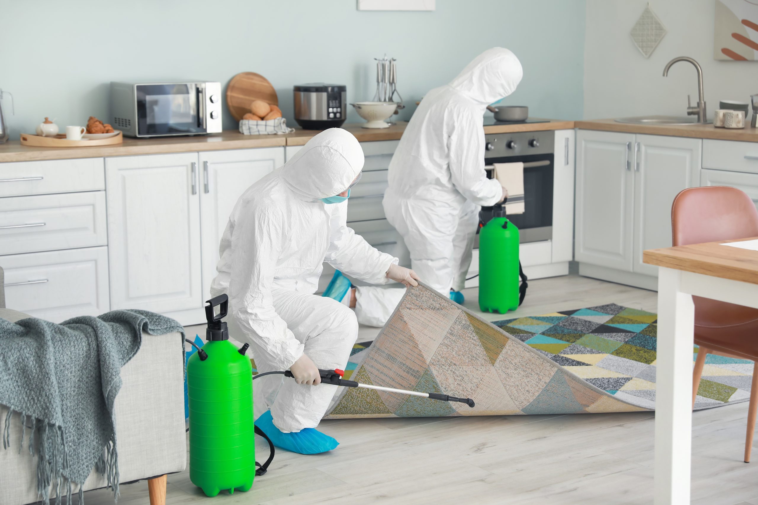 Biohazard cleanup crew cleaning kitchen in Titusville, FL
