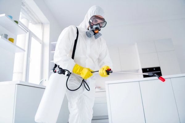 Odor Removal Service
