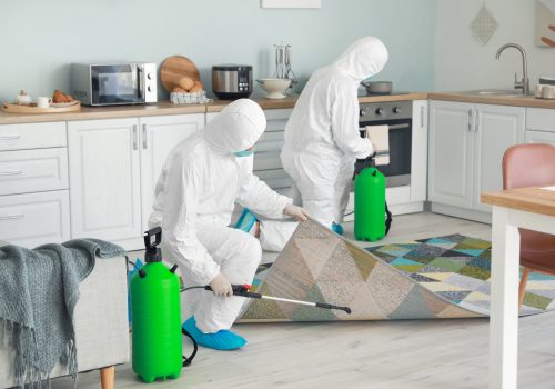 Workers,In,Biohazard,Suits,Disinfecting,House